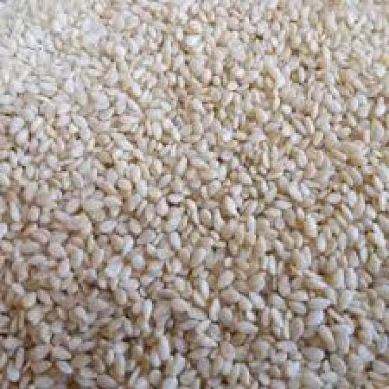 کنجد سفید مغزدار،75گرم