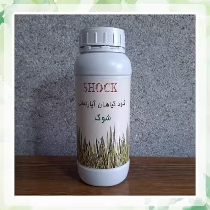 کود گیاهان آپارتمانی شوک