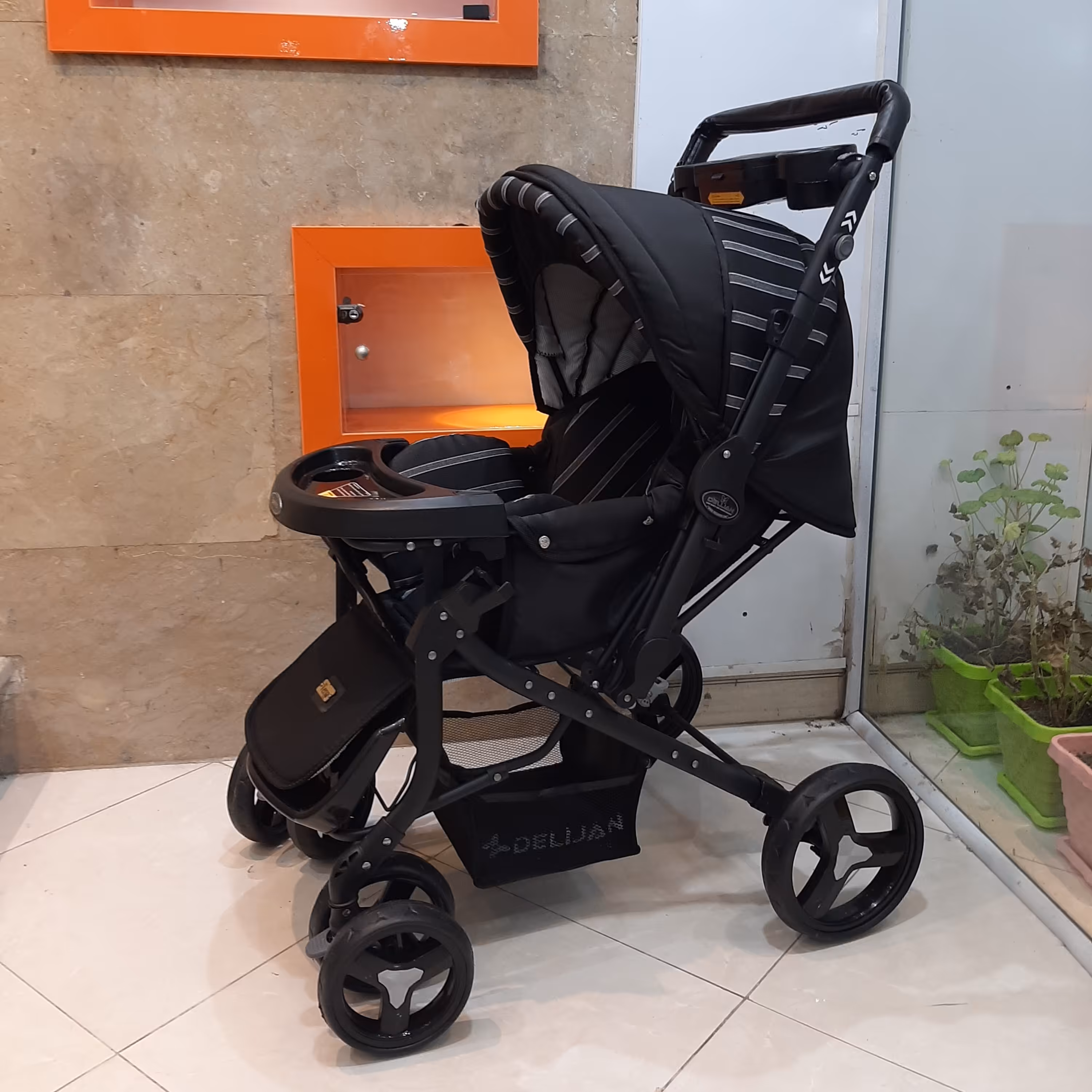 کالسکه بنیتا (شرکت دلیجان)