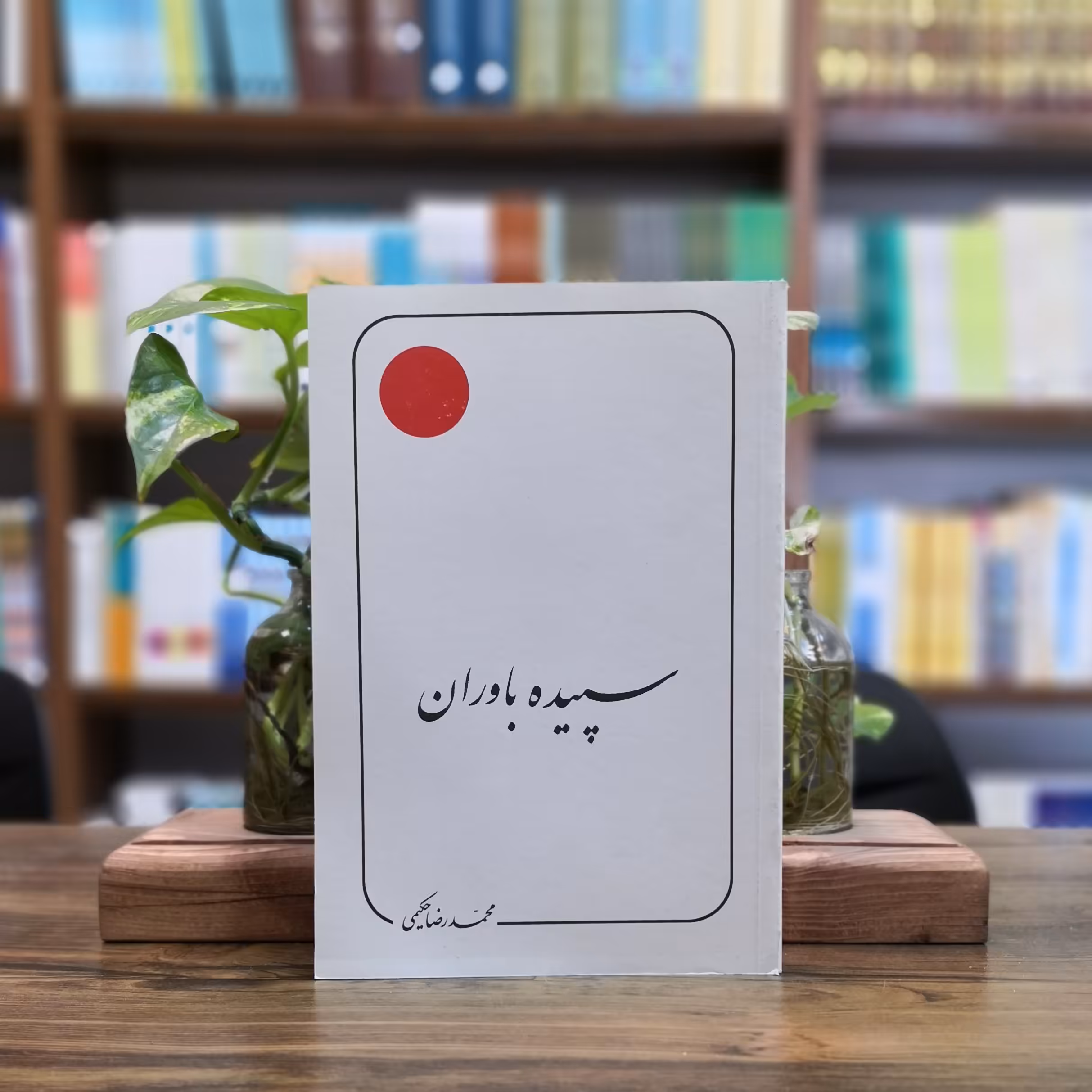 کتاب سپیده باوران انتشارات دلیل ما 