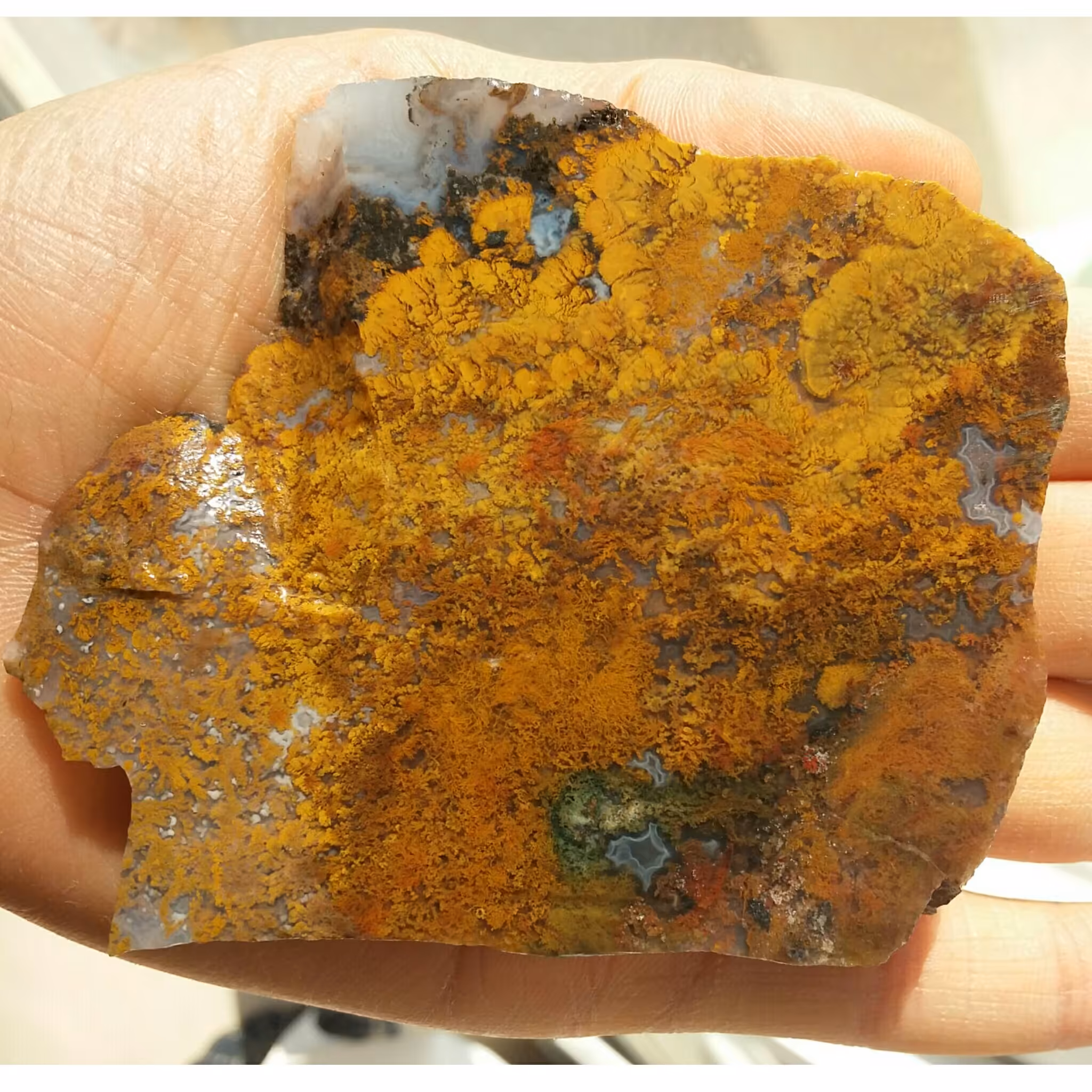 اسلایس سنگ راف شجر منظره 7رنگ محشر شااهکار خلقت 100 در 100 طبیعی تکرار نشدنی