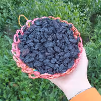 مویز اعلا متوسط و بدون دانه 500گرمی