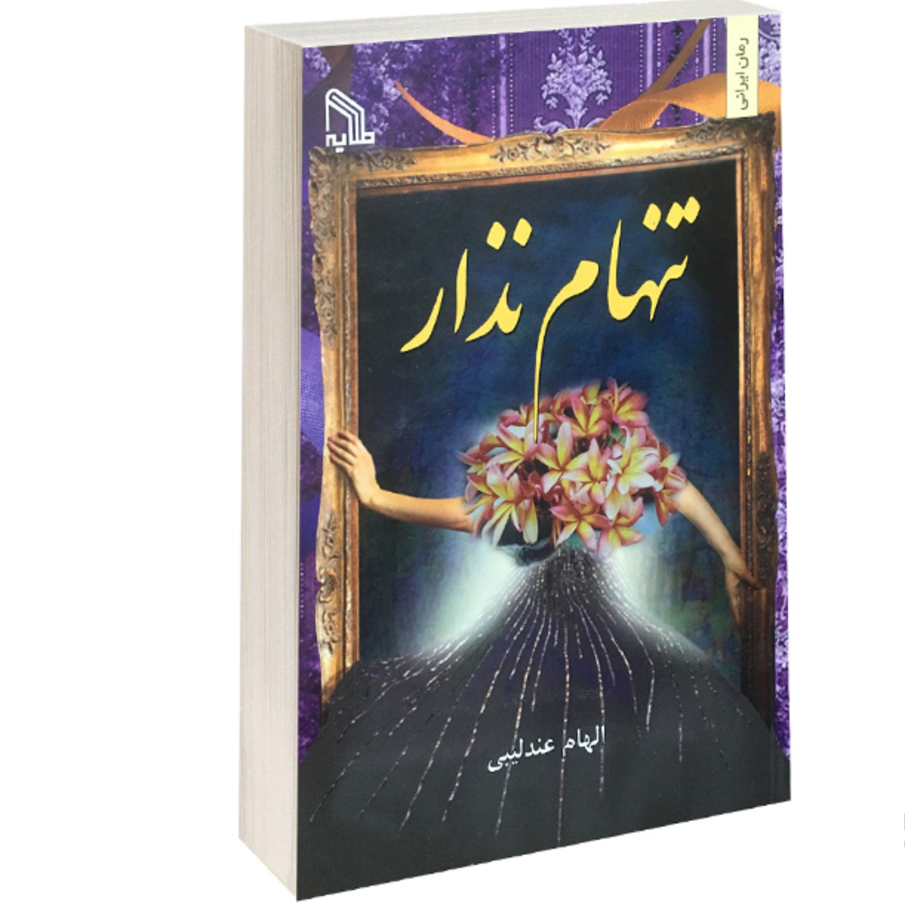 کتاب تنهام نذار نشر