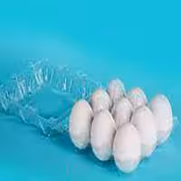 تخم مرغ  محلی سلامت محور کشاورزی ارگانیک رضوانی