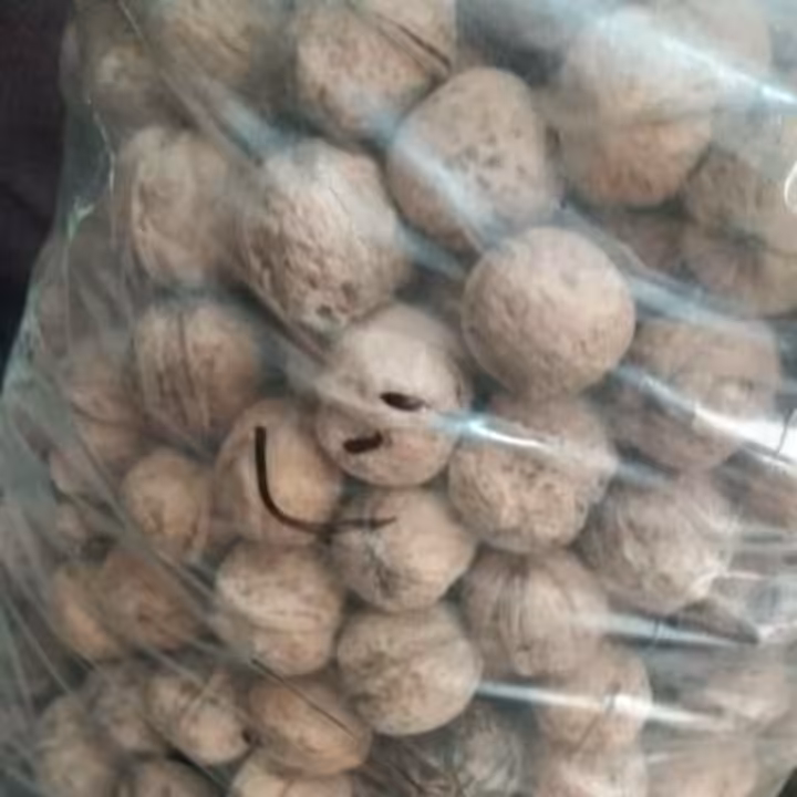 گردو با پوست و مغز  پرچرب مراغه(1 کیلوگرمی)