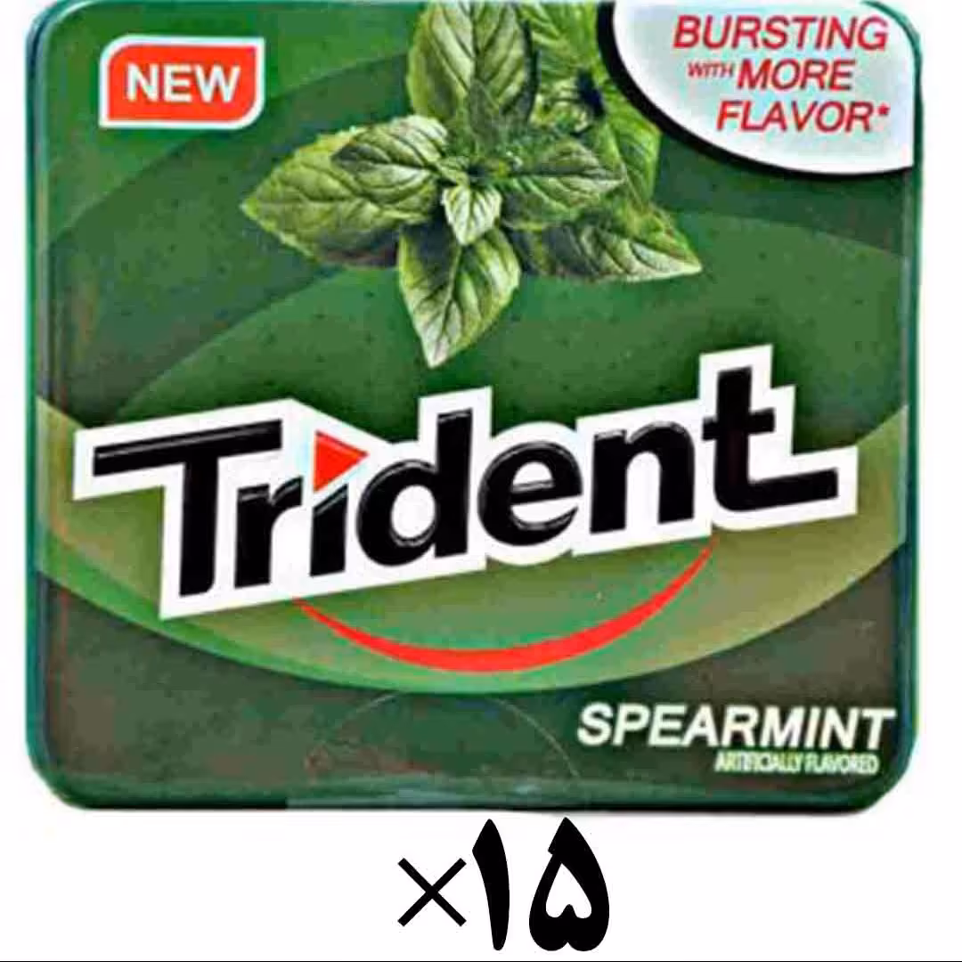 آدامس تریدنت فلزی نعنایی 15 عددی Trident