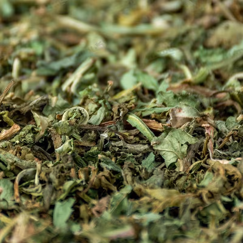 برگ کاسنی (10کیلویی)  مقداری چوب داره