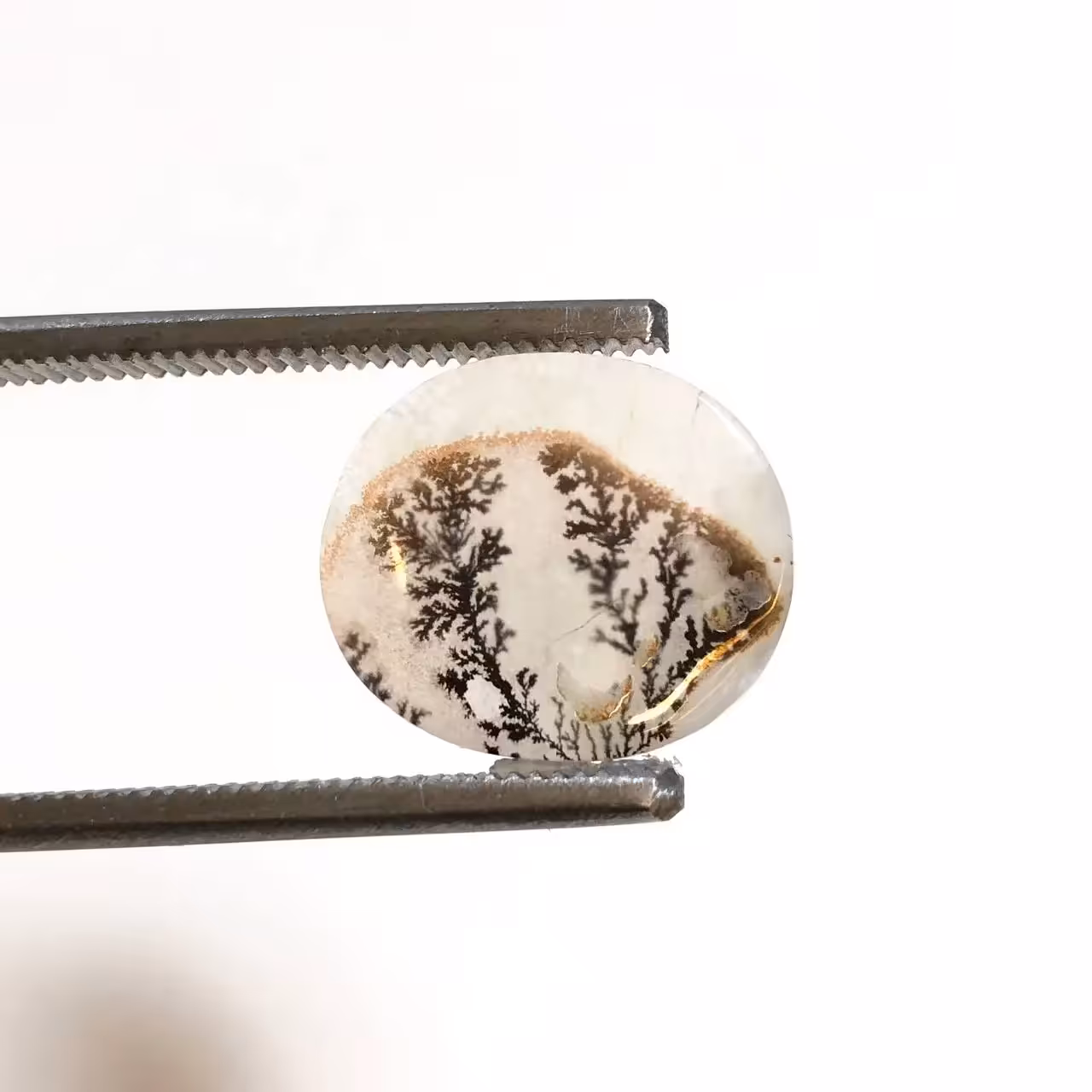 سنگ عقیق شجر هندوستان 250035