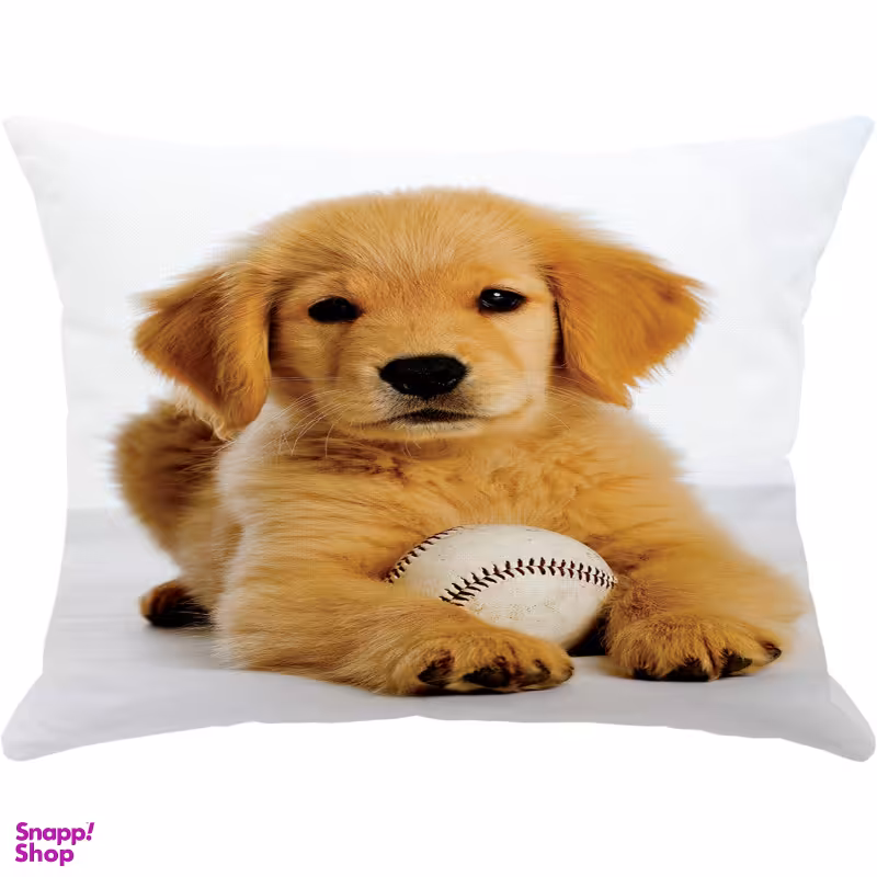 کوسن مدل R1-10854 چند رنگ