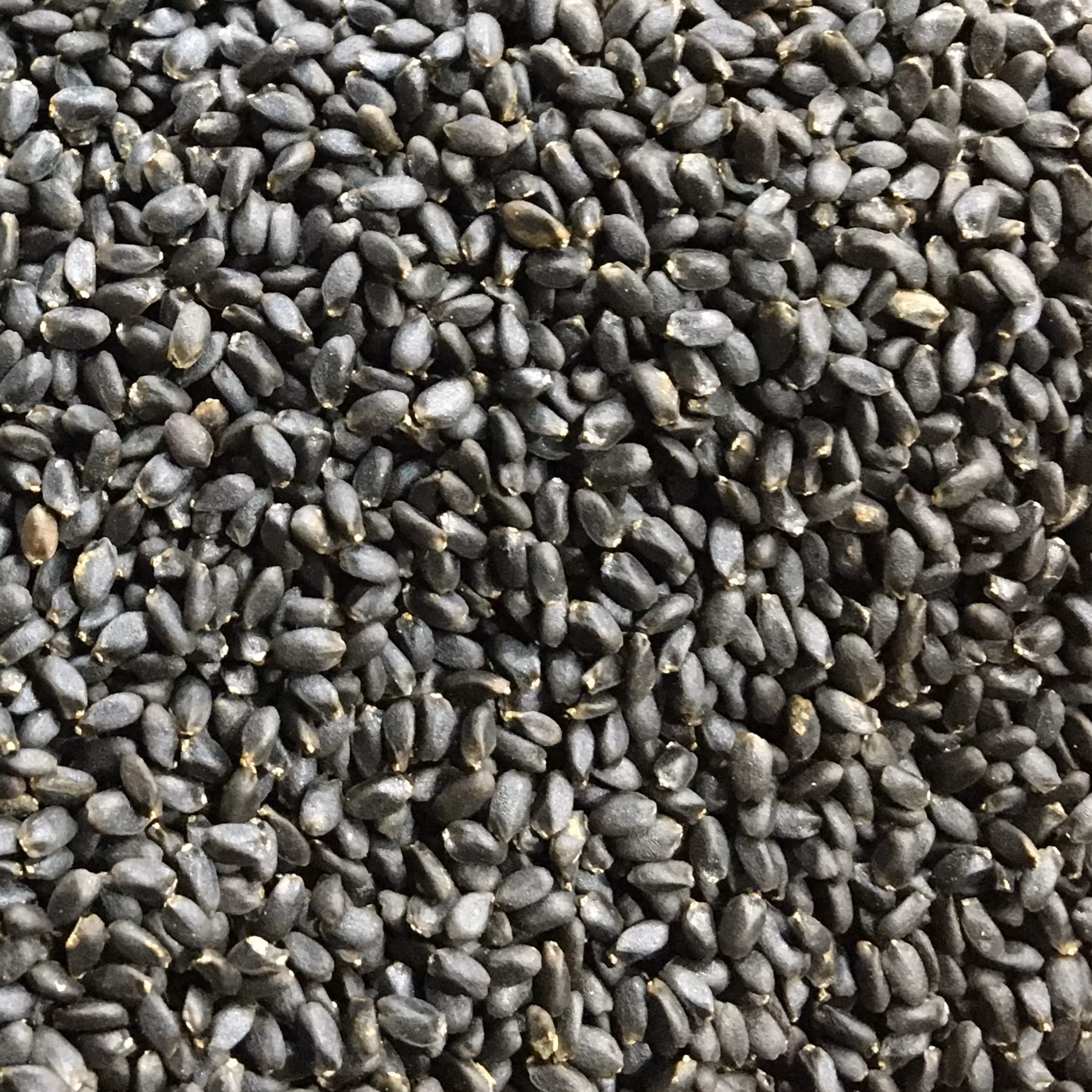 تخم شربتی درشت100 گرم(ریحان)