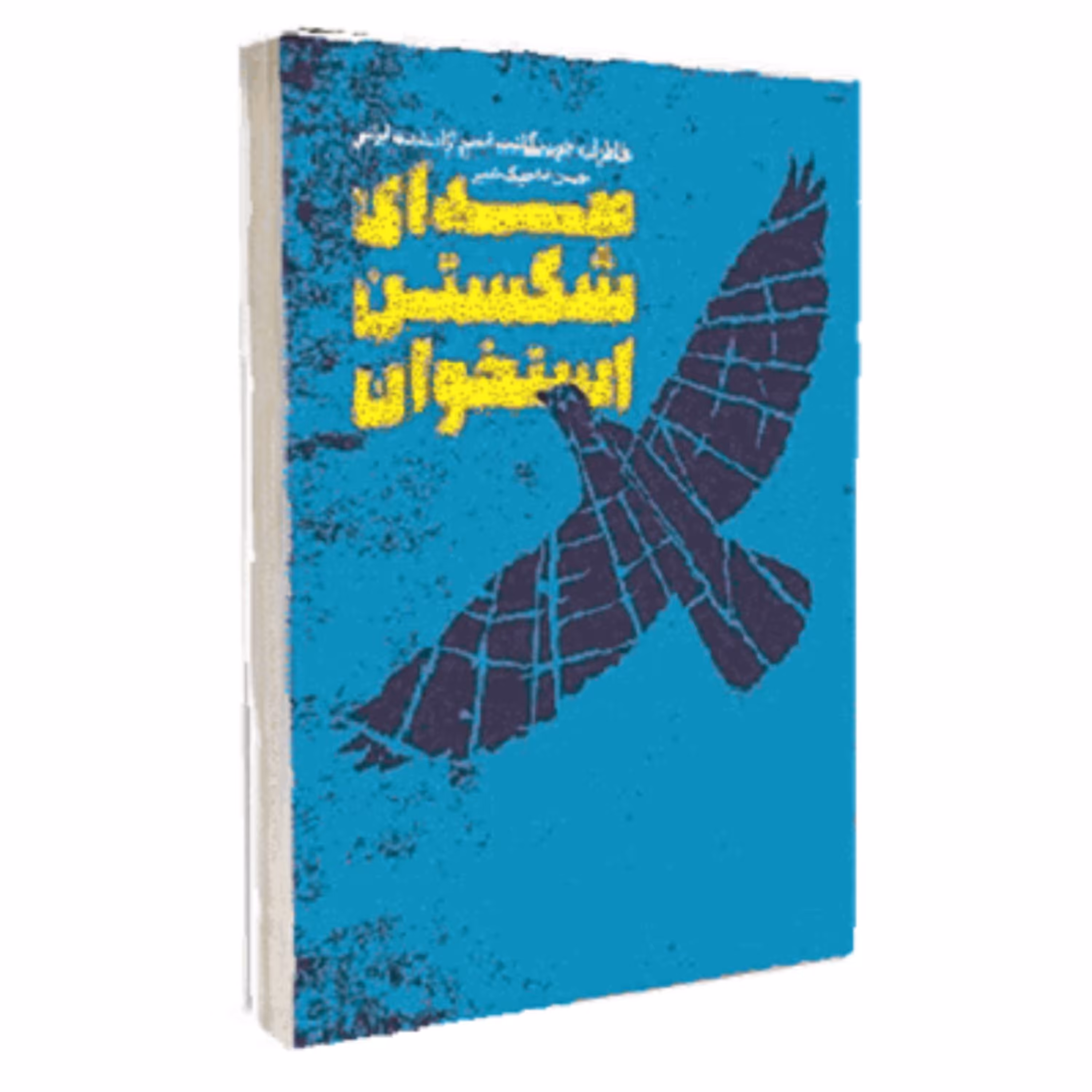 کتاب صدای شکستن استخوان