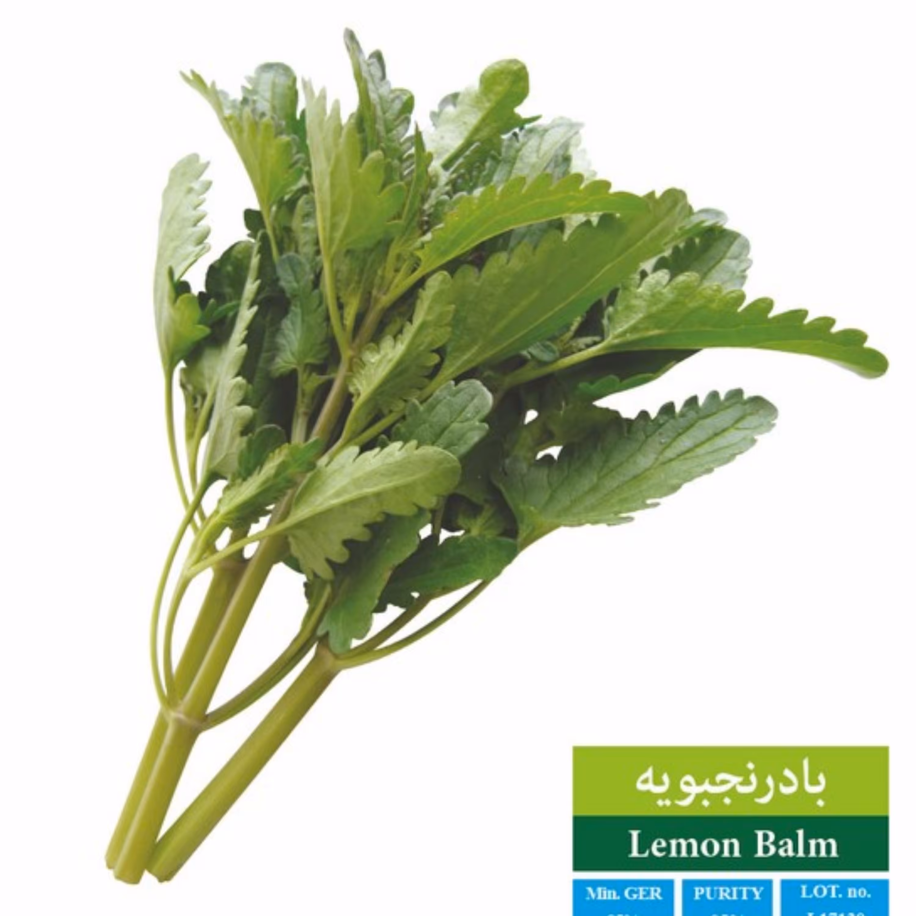 بذر بادرنجبویه بذر طلایی رویان (یک بسته)