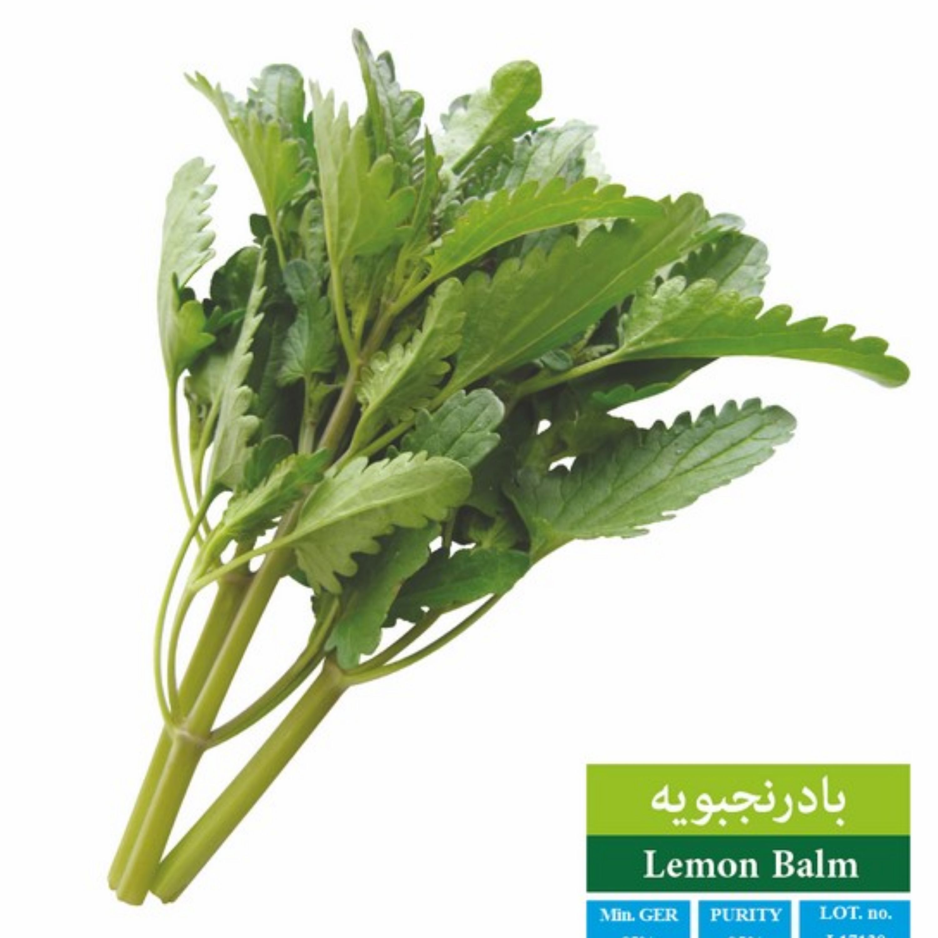 بذر بادرنجبویه بذر طلایی رویان (یک بسته)