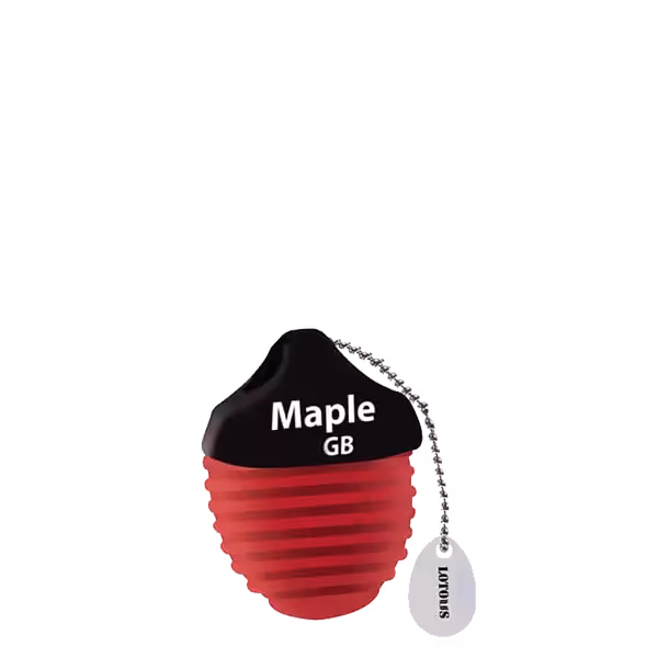 فلش مموری لوتوس مدل Maple ظرفیت 32 گیگابایت