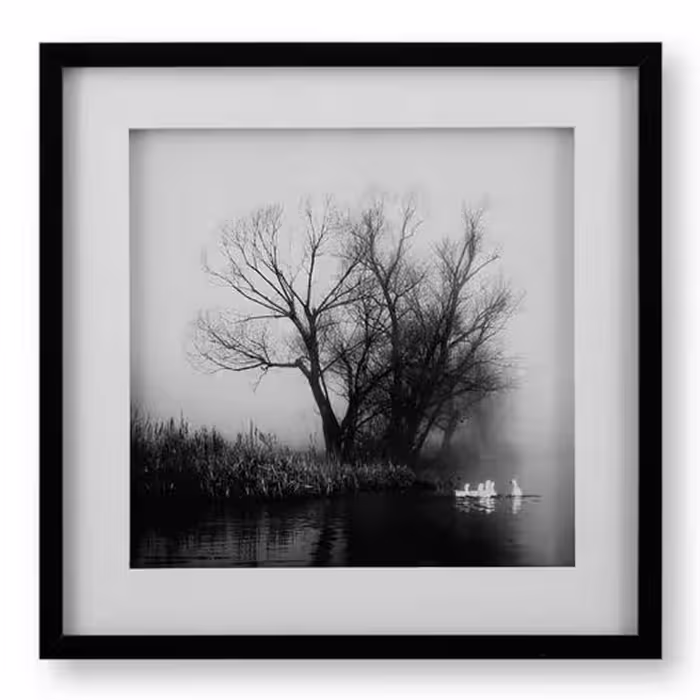 تابلو مدرن پرواز پرنده (GEESE IN FOG) کد GW-99102-C-WH-BL