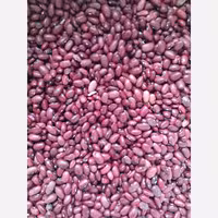 لوبیا قرمز( 500 گرمی)