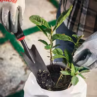 بیلچه باغبانی 2 اینچ مدل RH-9904  رونیکس