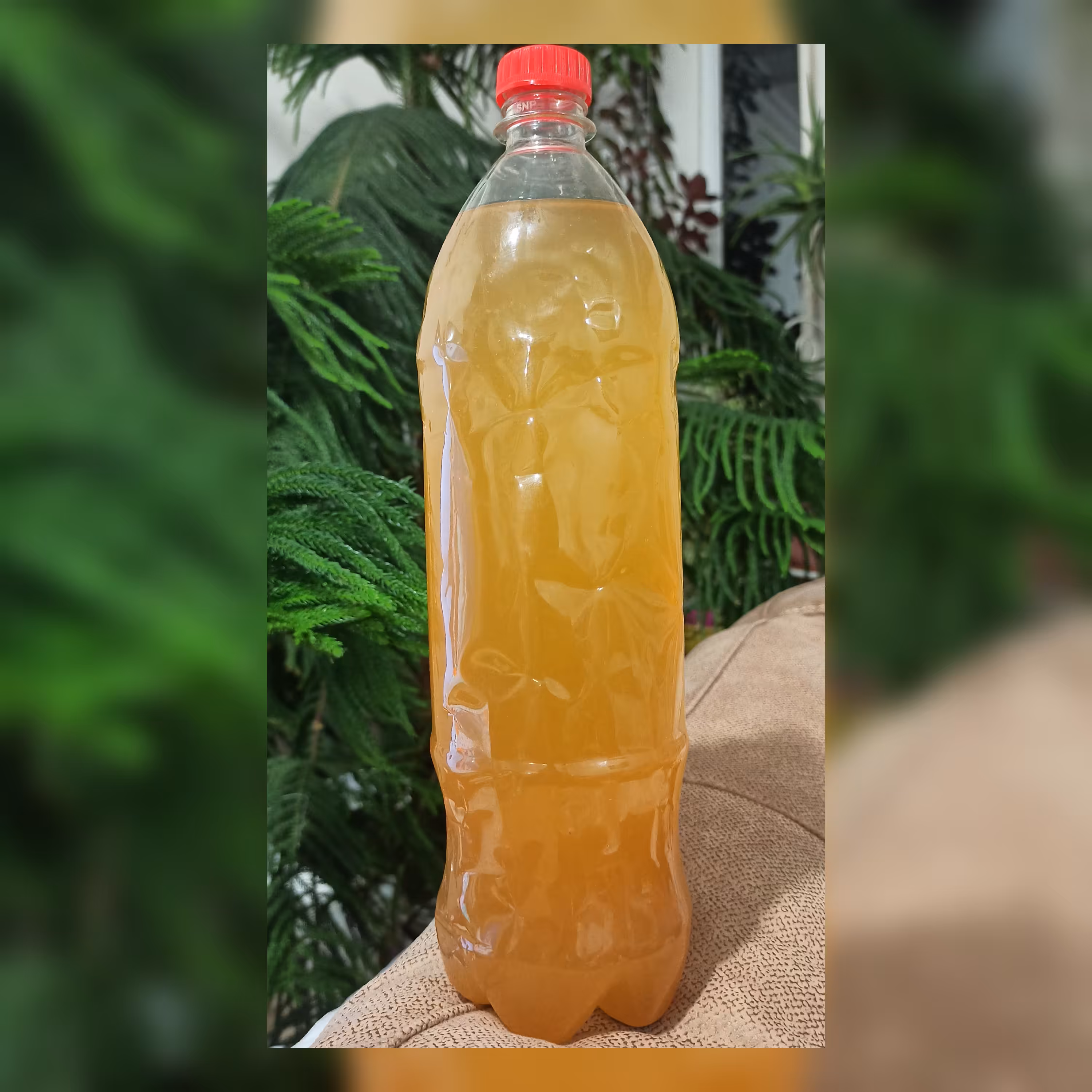 سرکه سیب محصولی ارگانیک و کاملاً طبیعی 1.4 لیتری (پس کرایه)