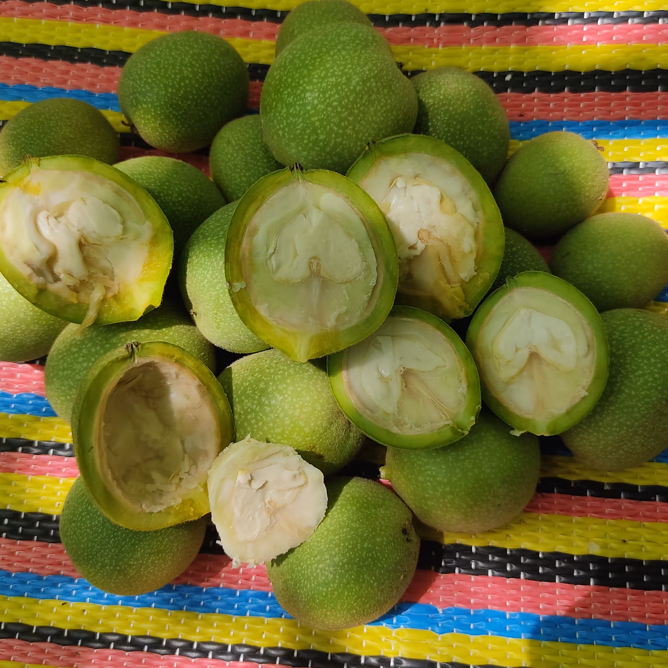 گردو تازه و نوبر