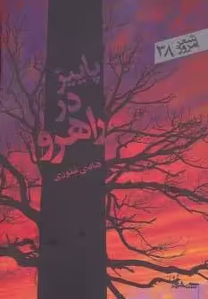 پاییز در راهرو (شعر امروز38)