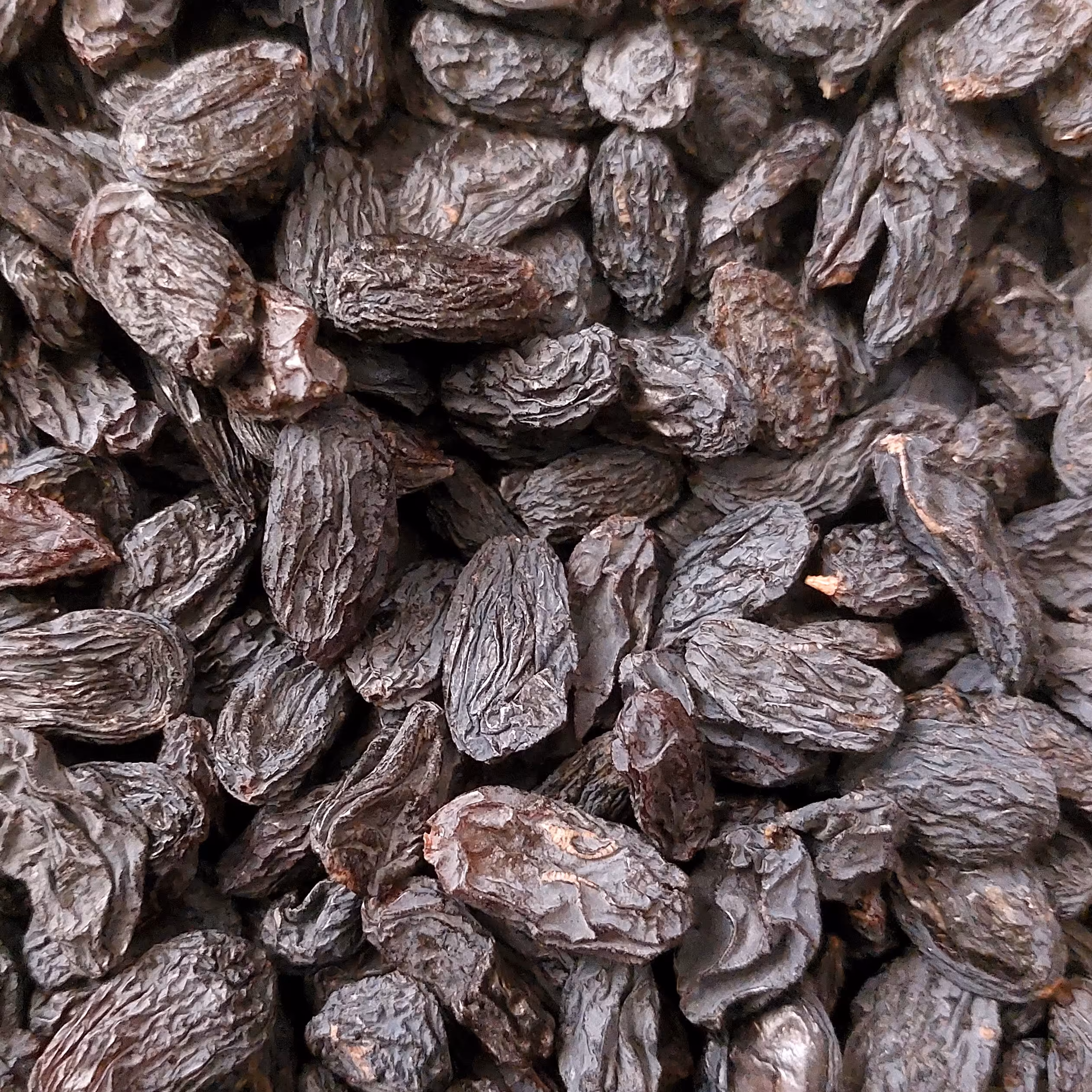 مویز بی هسته اعلاء بسته 500گرمی