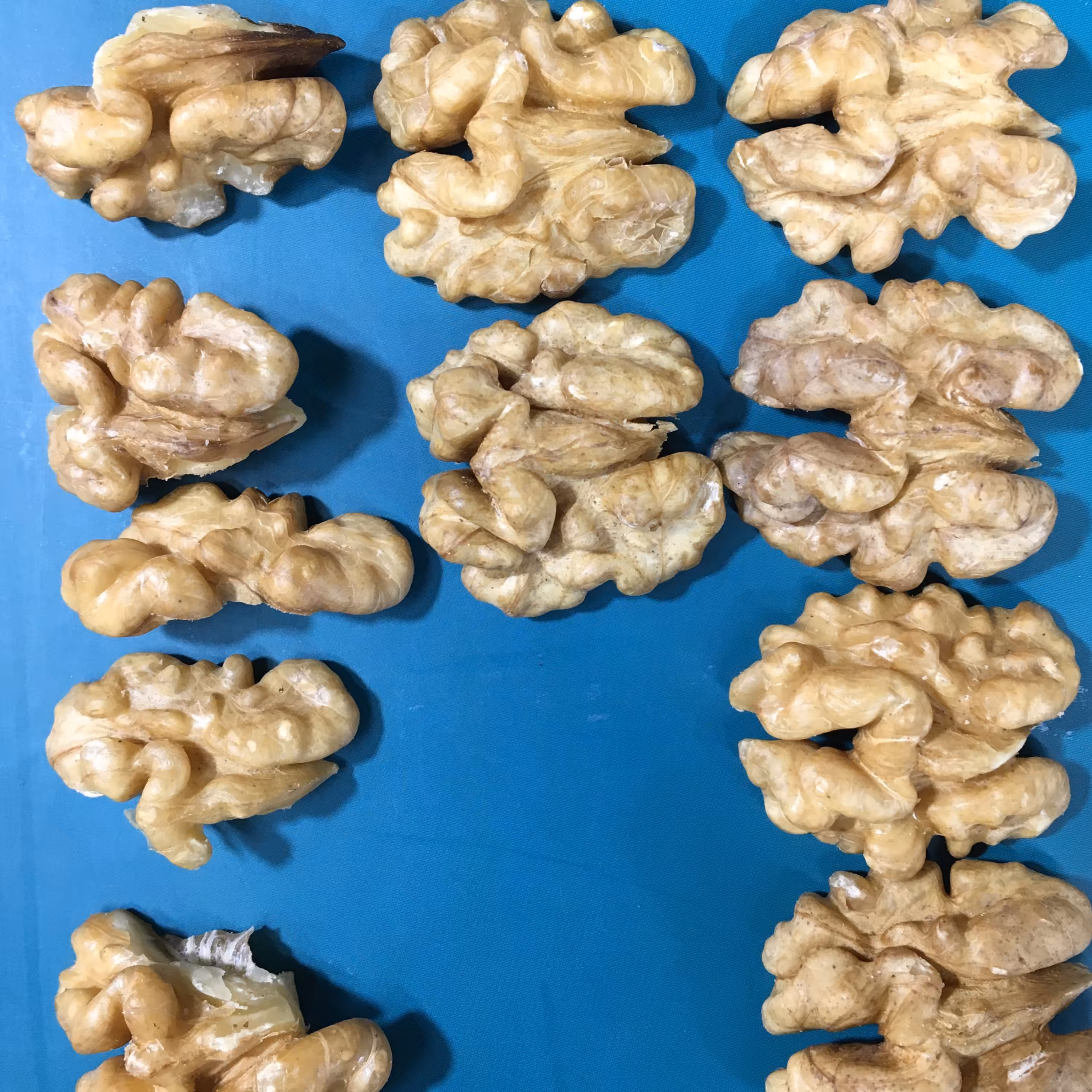 مغز گردو نوبر 500گرم مرند آذربایجان اختصاصی 