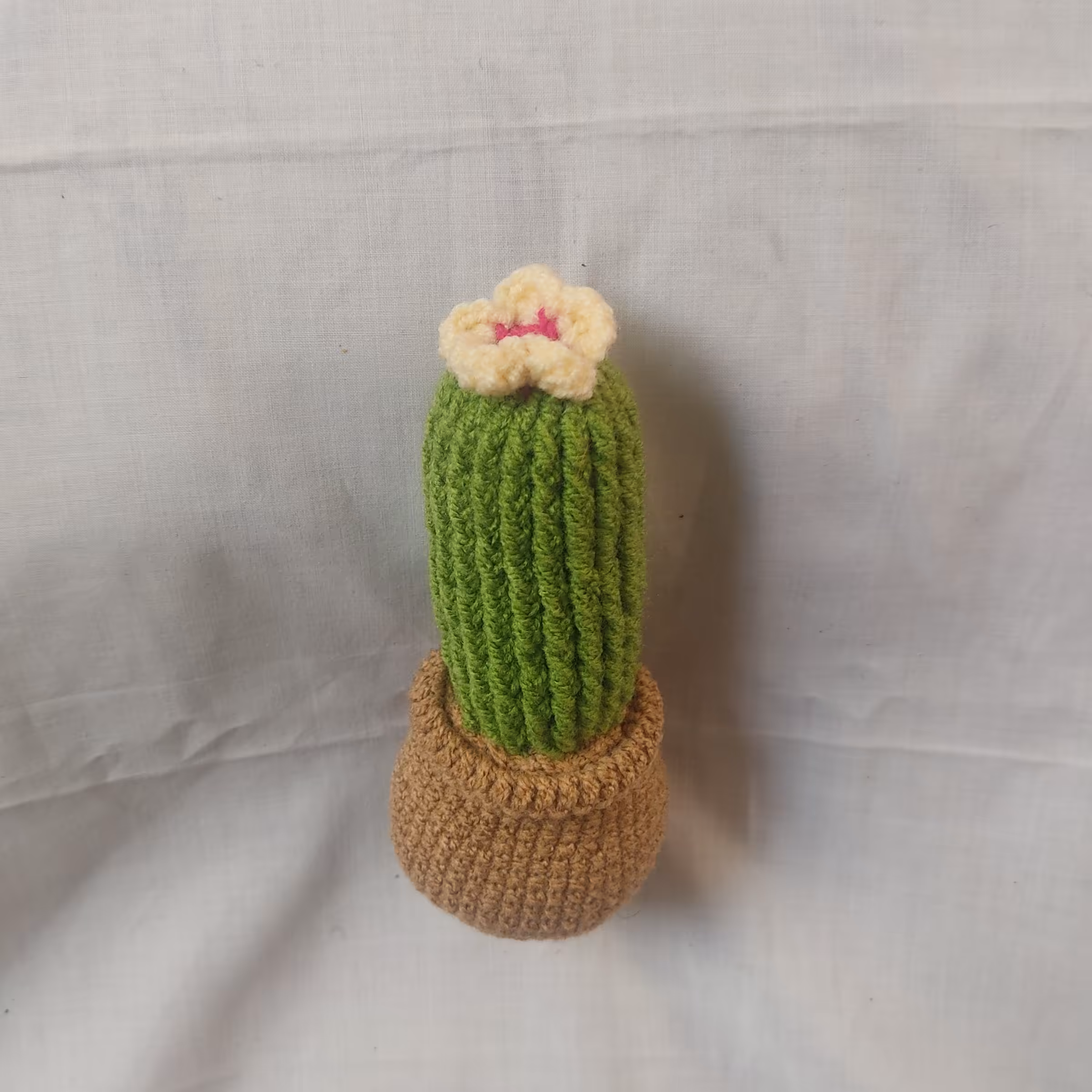 کاکتوس بافتنی  کاموایی سبز رنگ 13 سانتی متری