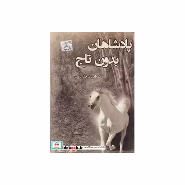 کتاب پادشاهان بدون تاج