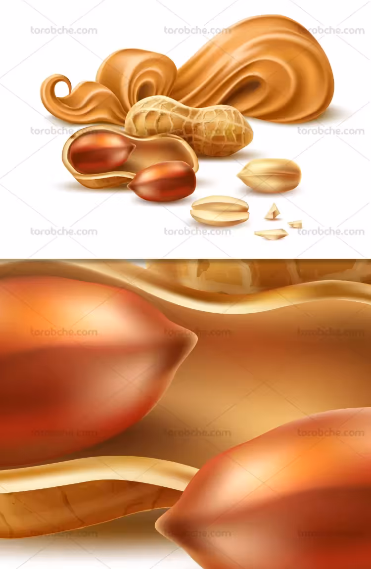 وکتور کره بادام زمینی با کیفیت | گرافیک با طعم تربچه