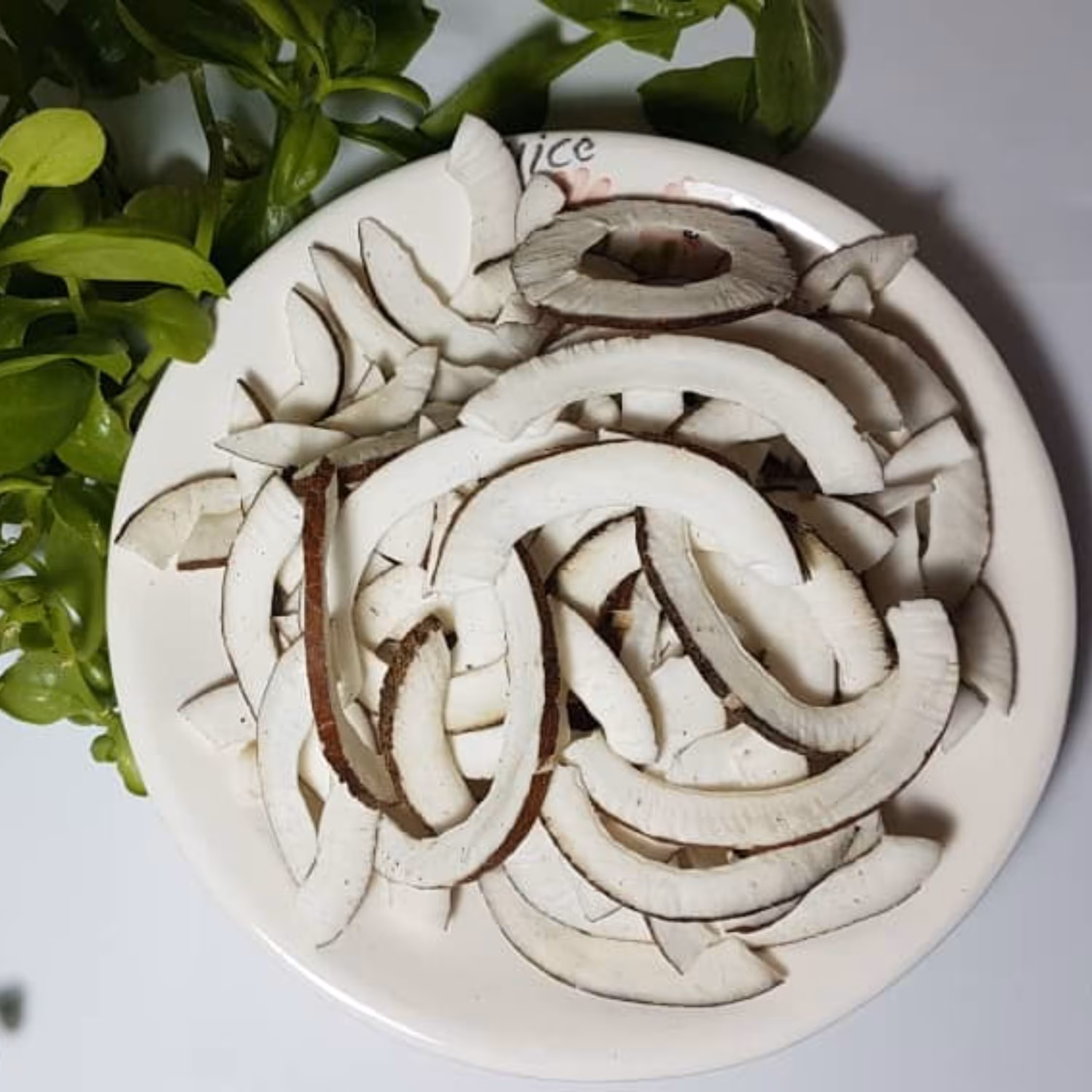 نارگیل خشک ( 50 گرمی )