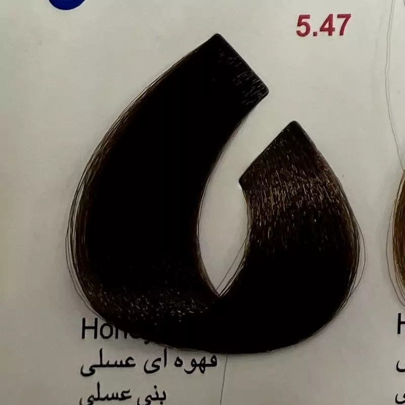 رنگ قهوه ای عسلی 547 ،رنگ مو کم آمونیاک پیلون ویک عدد اکسیدان | amazonchi