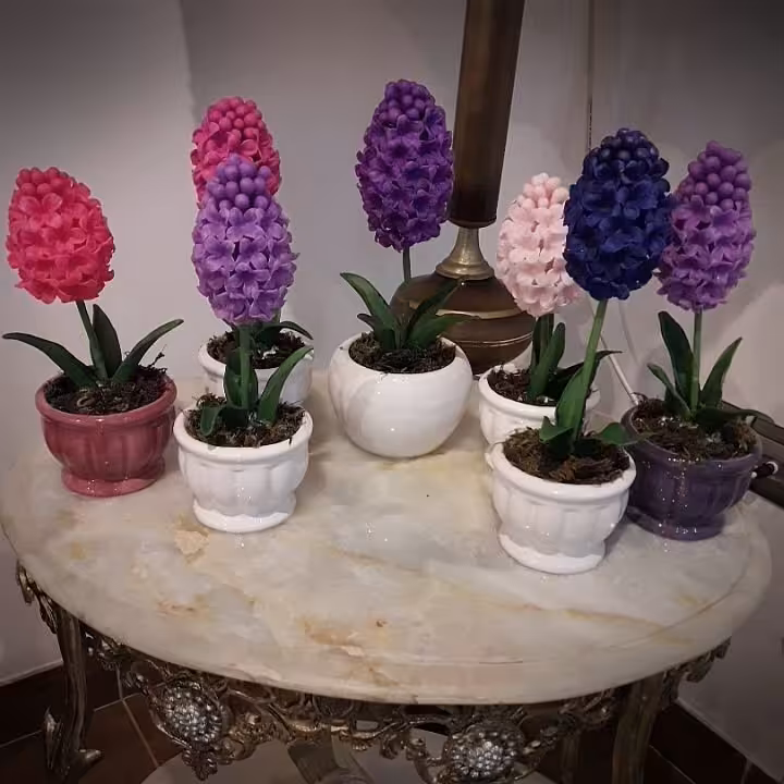 گل های سنبل چینی به رنگ های بنفش سفید و صورتی