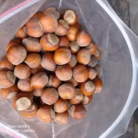 فندوق اشکورات