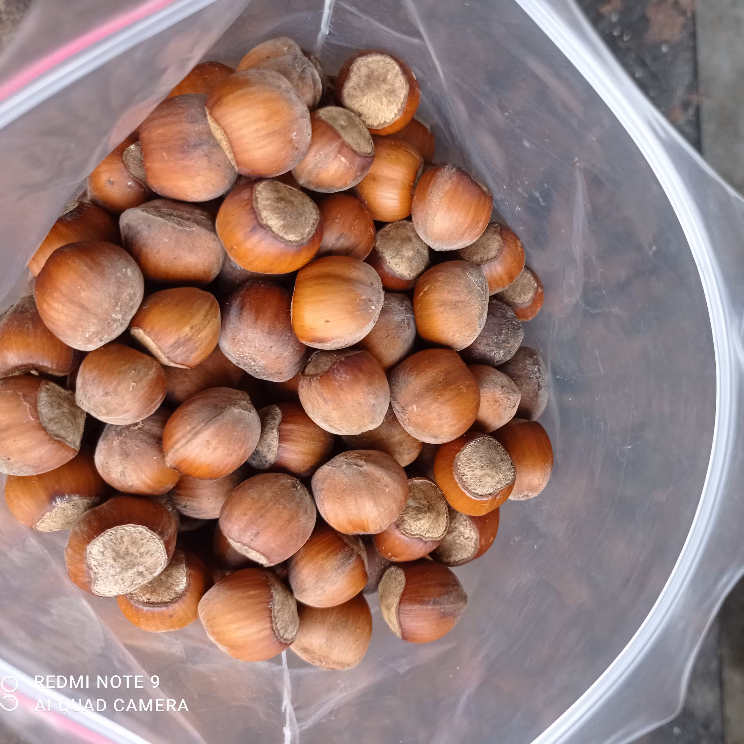 فندوق اشکورات