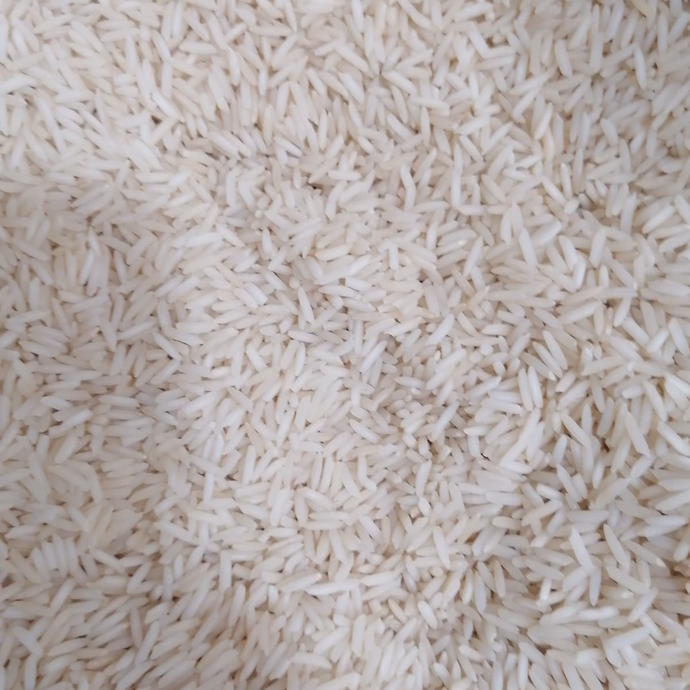 برنج دودی