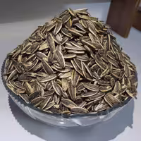 تخمه آفتابگردان نمکی و آبلیمویی تضمین کیفیت 1000 گرمی