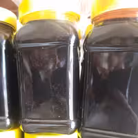 رب انار  ملس وترش