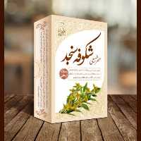 عطر طبیعی شکوفه سنجد طبیب 4 گرمی (100 درصد خالص و درمانی تضمین کیفیت) ایرونیش