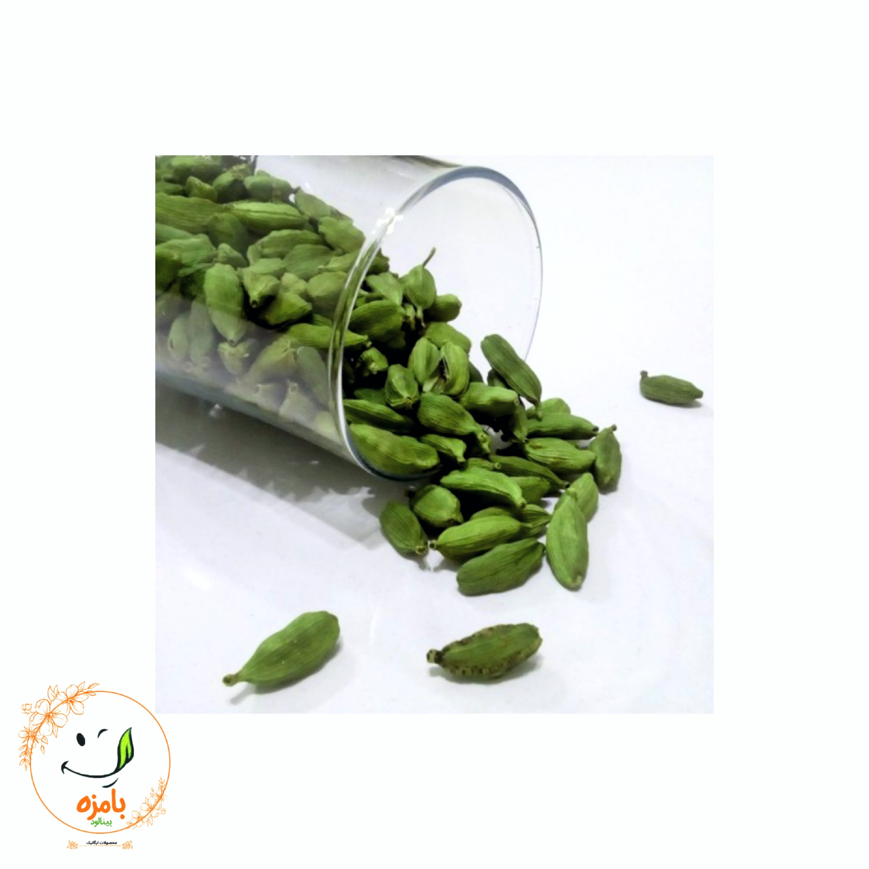 هل سبز اکبر درشت و تازه و خوش عطر (10گرمی) بامزه بینالود