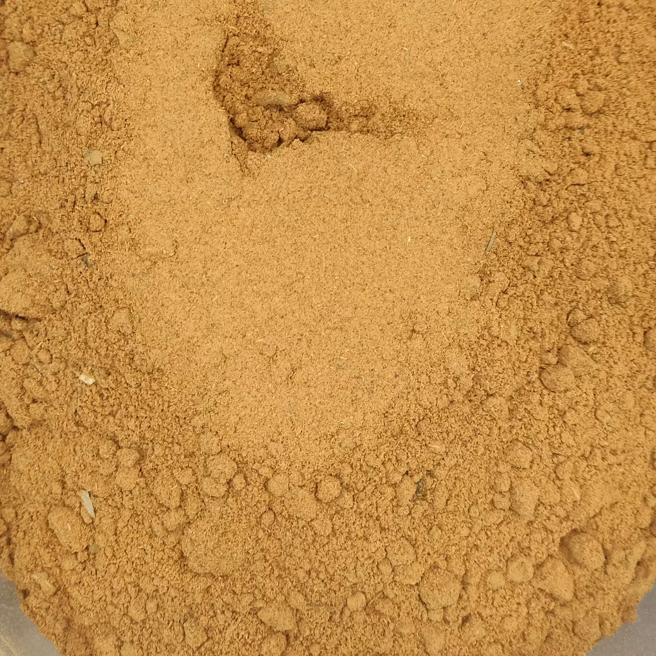 ادویه ماهی پاکستانی درجه یک 100 گرمی