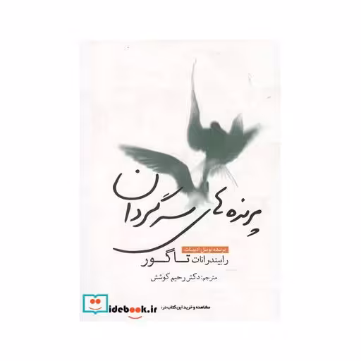 کتاب پرنده ‌های سرگردان