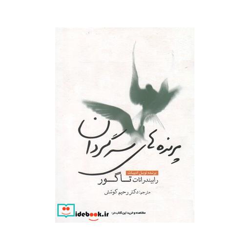 کتاب پرنده های سرگردان