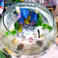 تنگ بلور شیشه ای قطر 29 سانت بدون ماهی 