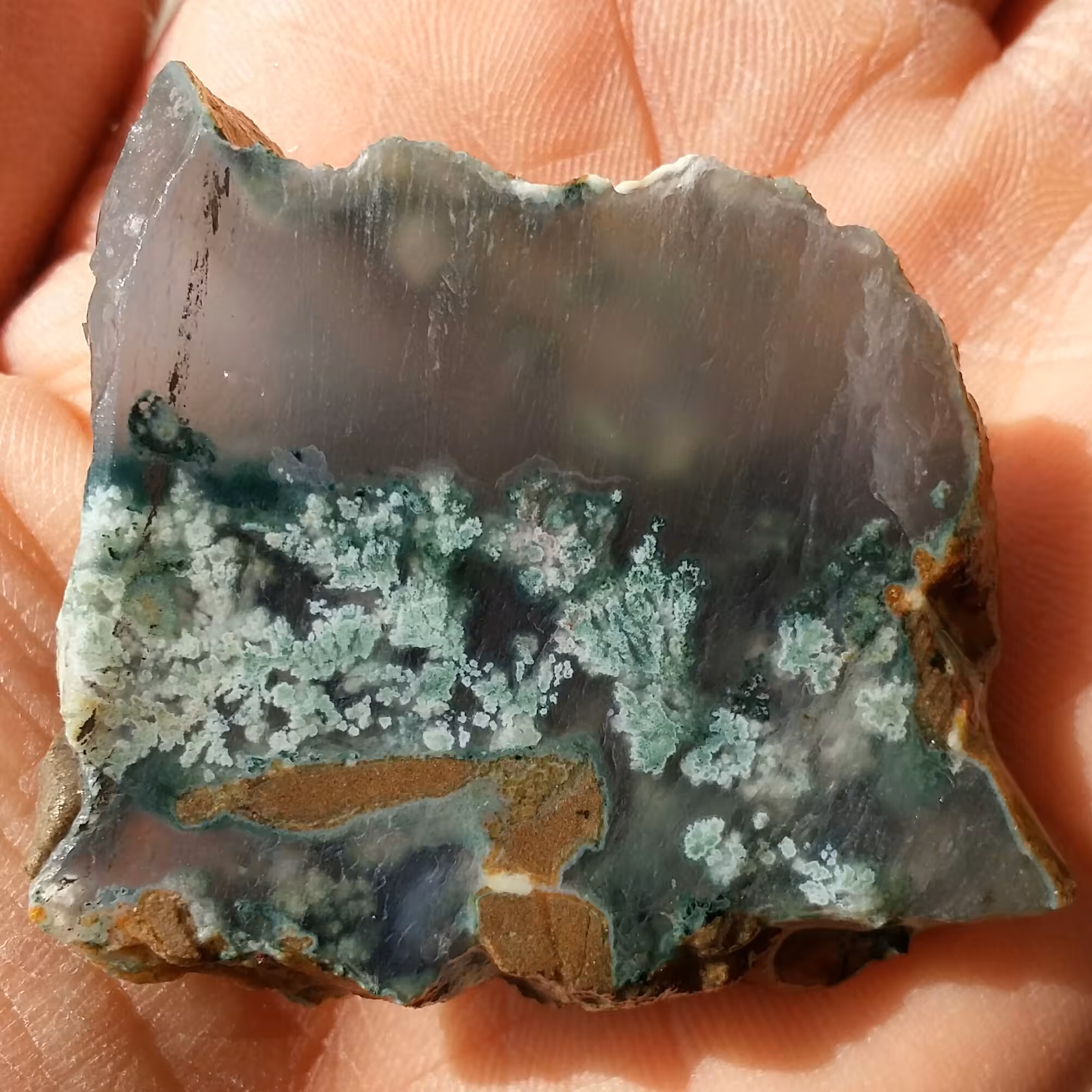 اسلایس سنگ راف شجر شکوفه سبز زمینه سوسنی محشر 100 در 100 طبیعی شاهکار خلقت خاص