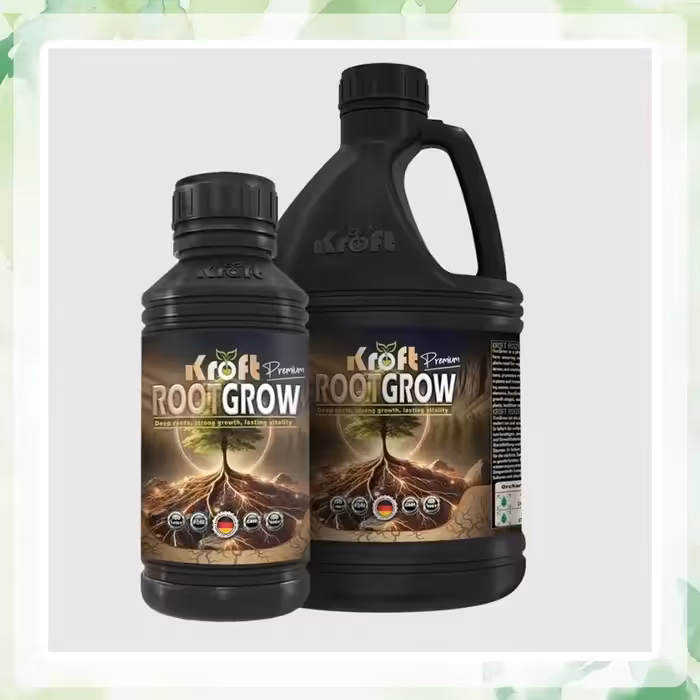 کود روت گرو کرافت { آلمان}