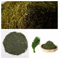 شوید خشک نیم کیلویی