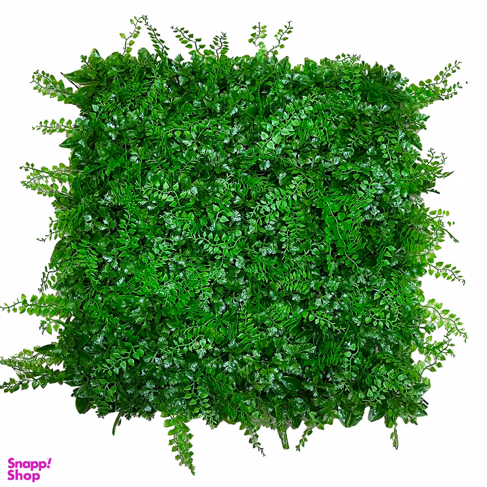 گرین وال مدی سیکاس رنگ سبز