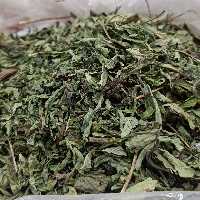 برگ استویا شیرین کننده طبیعی جایگزین قند 75 گرم 
