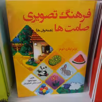 فرهنگ تصویری صامت ها