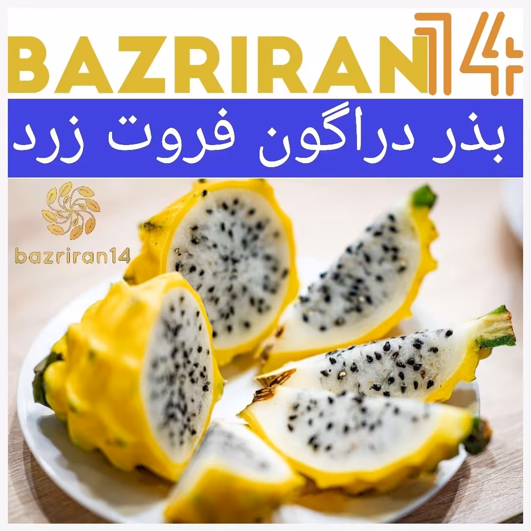 بذر داگون فروت زرد یا میوه اژدها